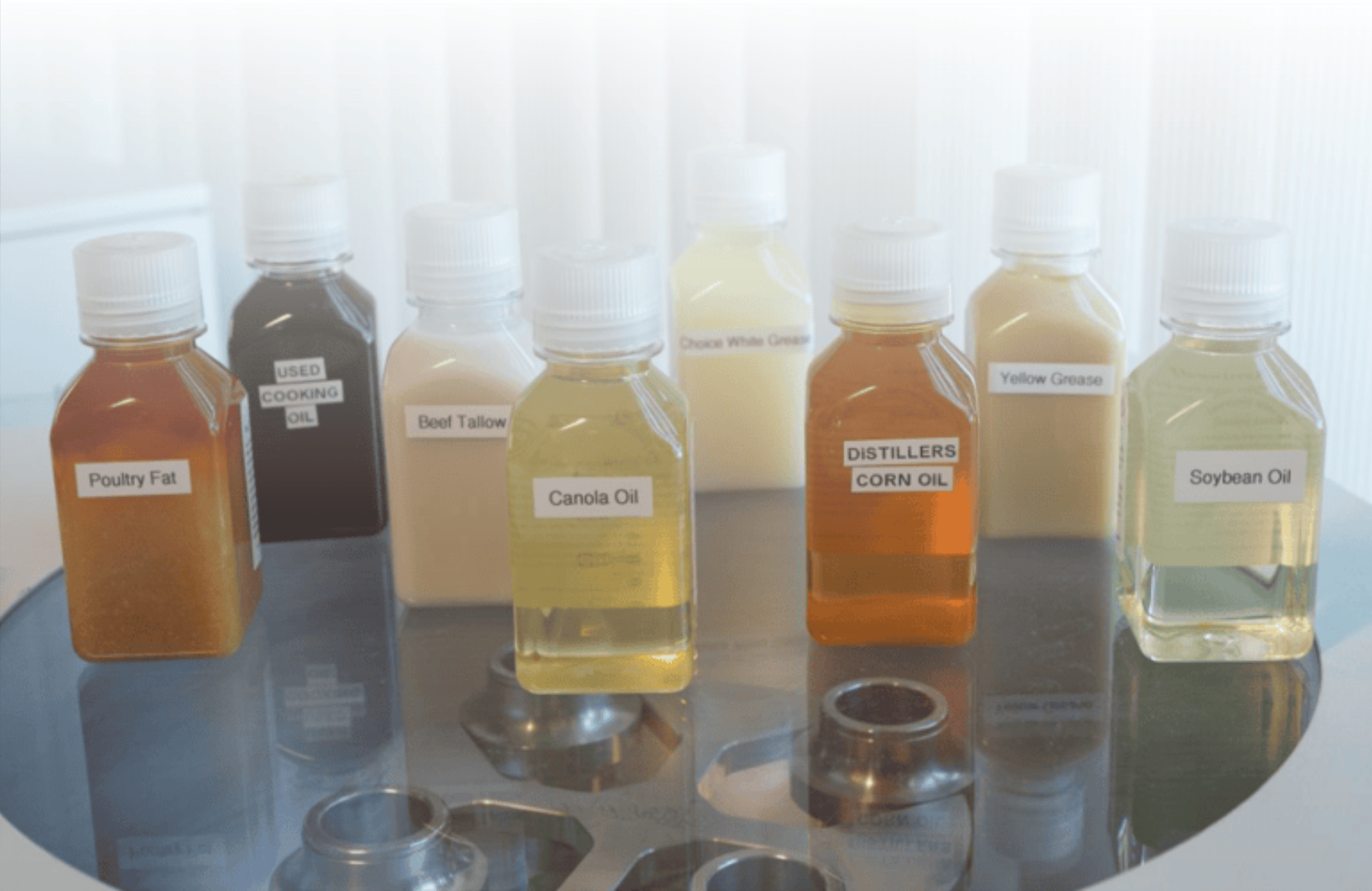 Comparison of renewable diesel samples from varying feedstocks